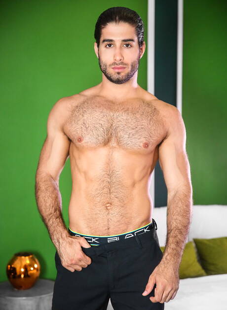 Der muskulöse Brasilianer Diego Sans und der junge Seth Stark lieben sich