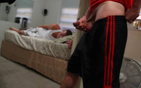 Der amerikanische Otter Alex Andrews wird nach einem Blowjob in den Arsch gefickt