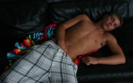 美國水獺亞歷山大·格林在吮吸陰莖後進行性交