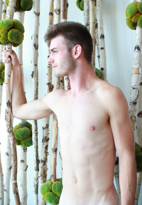 Dois caras americanos bem constituídos, Tommy Regan e o jovem Vincent James fazem amor na cozinha