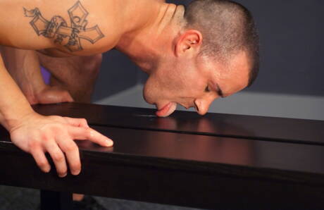 O super garanhão Troy Haydon e o garanhão americano Chris Tyler se chupando e transando