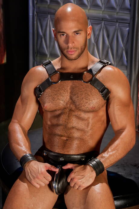 Hot House: Russian tough guy Valentin Petrov and american superstud Sean Zevran love each other