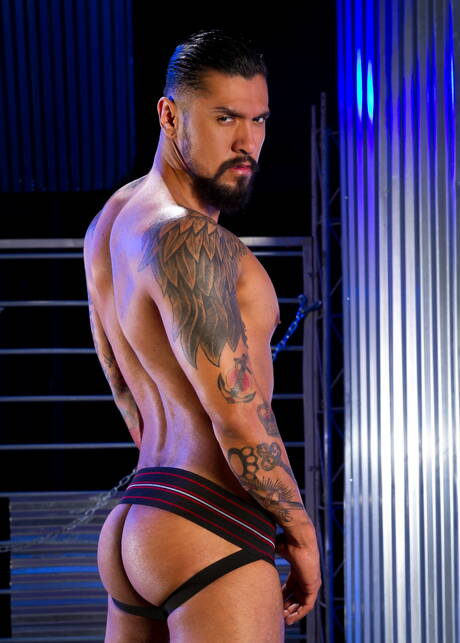 Hot House: American well-built Boomer Banks and spanish otter Dario Beck in hot homosexual scene