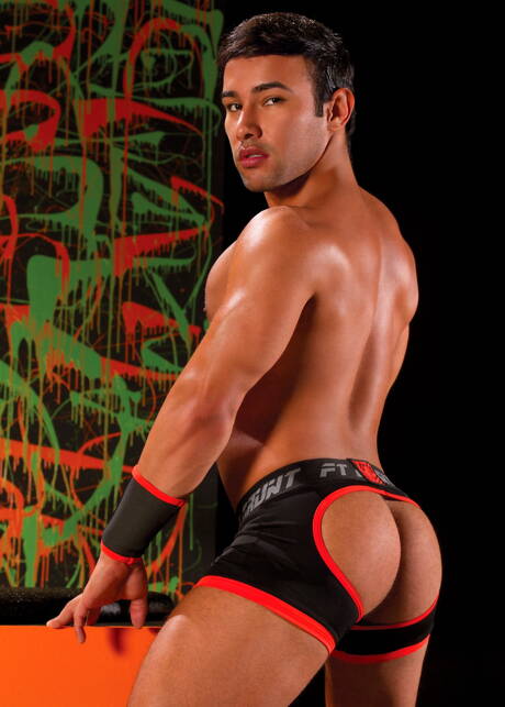 Die amerikanischen Stars Beefcake Nick Sterling und gut gebaute Dorian Ferro haben einen guten Analsex