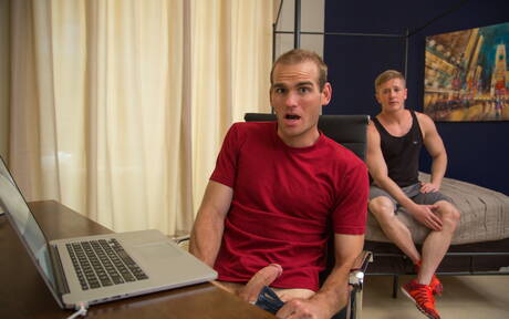 Gli americani sexy, l