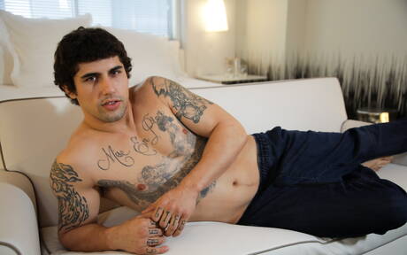 Łaciński ogier Jimmy Clay i amerykański ogier Markie More w gorącym tyłku