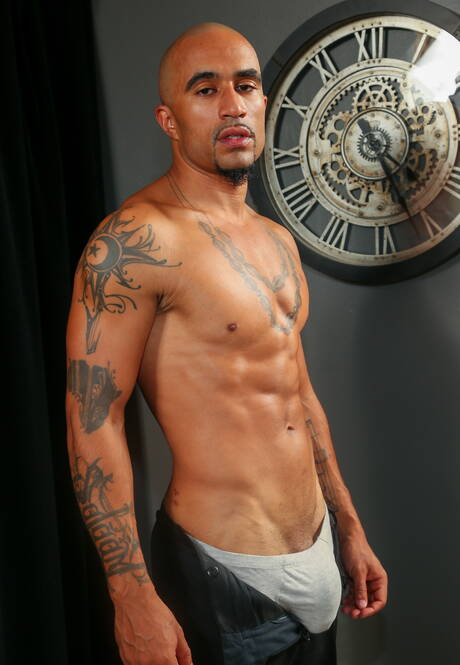 黒檀の雄牛キング・ノワールがバスルームで強靭な肉体を披露