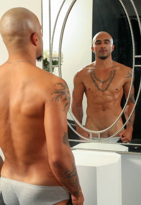 黒檀の雄牛キング・ノワールがバスルームで強靭な肉体を披露