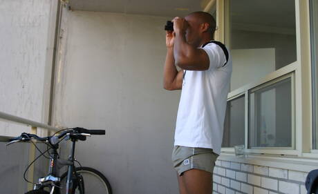 Schwarzer starker Bulle Youngblood hat ein Vergnügen