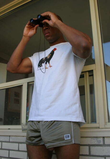 Schwarzer starker Bulle Youngblood hat ein Vergnügen