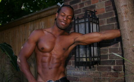 Taureau noir fort Tone se branlant à l