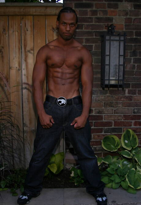 Taureau noir fort Tone se branlant à l