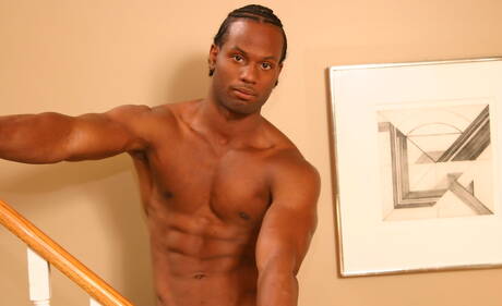 O touro preto Tone mostra um corpo musculoso