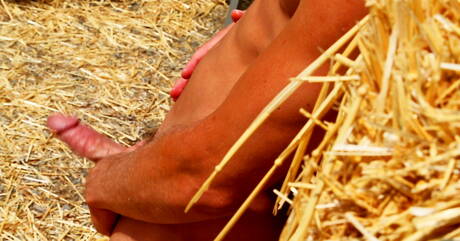 Il muscoloso americano Austin Storm stuzzica il suo cazzo all