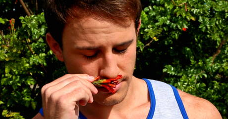 Der amerikanische Kraftprotz Conner Hastings wichst im Freien mit einem Spielzeug