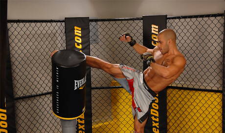 Ebenholzotter Austin Wilde spielt mit Schwanz