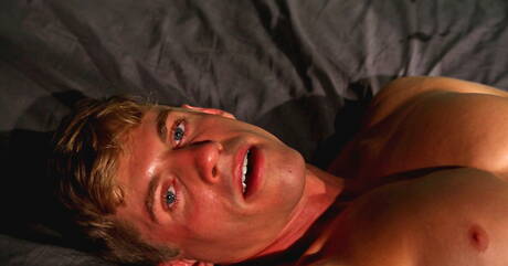 Bull David Ryder spielt mit Schwanz