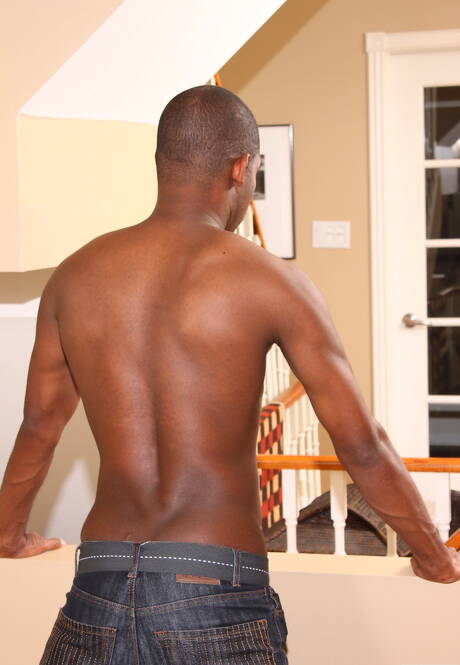 Der schwarze Superhengst Scottie A neckt seinen Schwanz