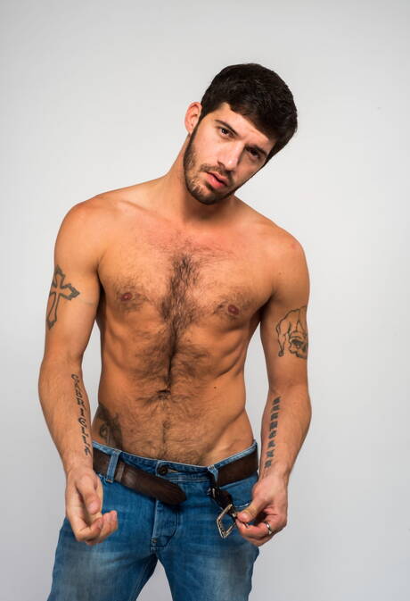 Amerykański kudłaty ogier Ty Roderick pozuje nago