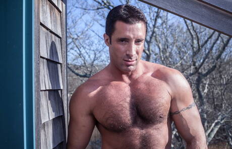 Amerikaanse hengst Nick Capra toont een prachtig lichaam aan de buitenkant