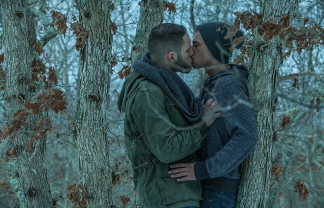 漂亮的美國男孩毛茸茸的種馬亞歷克斯·格林和種馬沃爾夫·哈德森在戶外展示了完美的身材