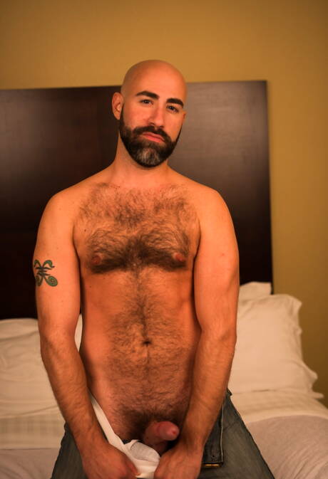 Hot american dudes hairy bear Damon Andros and hunky guy Nick Capra having a pleasure