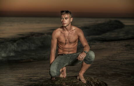 Amerikaanse otter Alexander Greene en Ierse harige beer Brendan Patrick poseren naakt op het strand