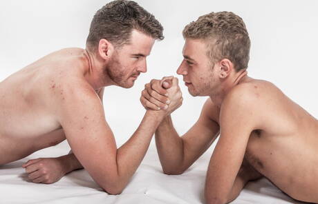 美國毛茸茸的種馬亞歷山大·格林和愛爾蘭成熟熊布倫丹·帕特里克展示了美麗的身體