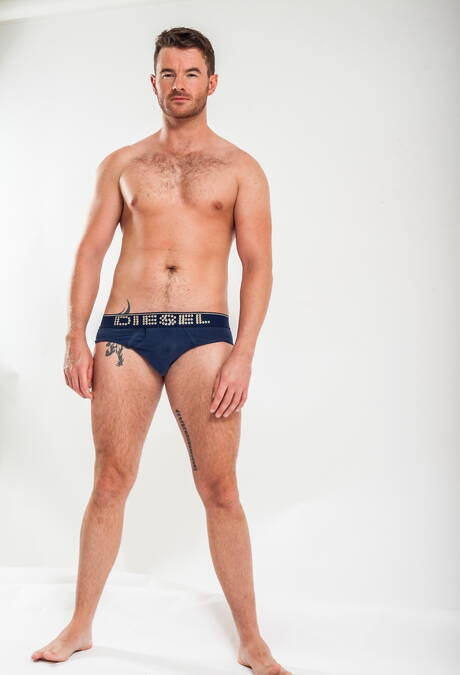 美國毛茸茸的種馬亞歷山大·格林和愛爾蘭成熟熊布倫丹·帕特里克展示了美麗的身體