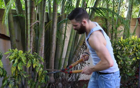 Pride Studios: Pretty american guys otter Tommy Defendi and bear Jake Jennings fuck ass after sucking dick in the kitchen