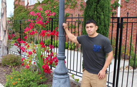 Oriental strong bull Flip shows a husky body outdoor