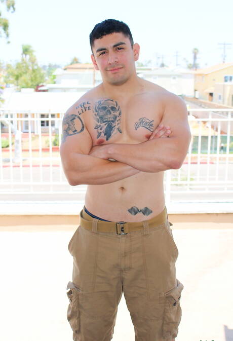 Il toro orientale Flip mostra un corpo robusto all