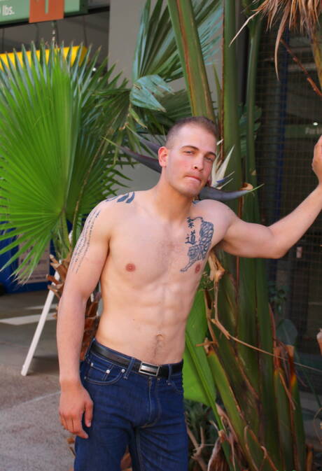 Bull Chase mostra um corpo bem construído por fora