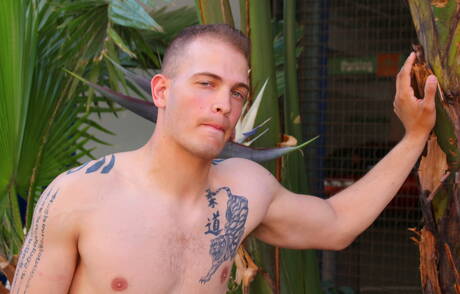 Bull Chase mostra um corpo bem construído por fora