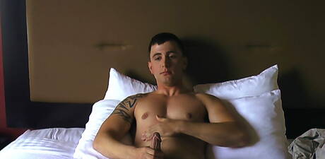 Superhengst Lance neckt seinen Schwanz