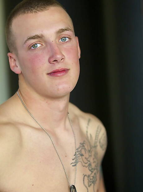 Husky Austin ma solidną budowę ciała