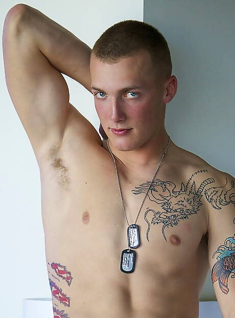 Husky Austin ma solidną budowę ciała