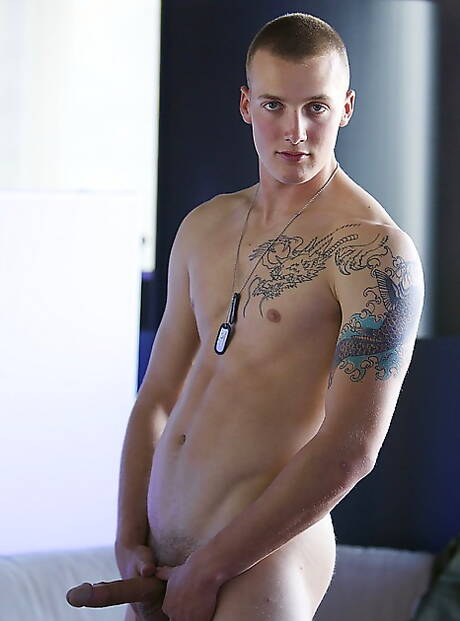 Husky Austin ma solidną budowę ciała