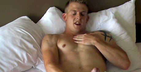 O husky americano Brock Mb brincando com um pau