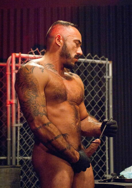 Mooie Amerikaanse jongens, sterke stier Angelo Marconi en spierbundel Shane Frost tonen een stevig lichaam