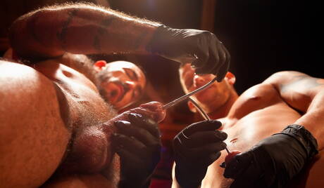 Mooie Amerikaanse jongens, sterke stier Angelo Marconi en spierbundel Shane Frost tonen een stevig lichaam