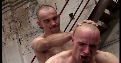 Przystojniak Alex Wegert i przystojny facet Mike French uprawiają gorący seks