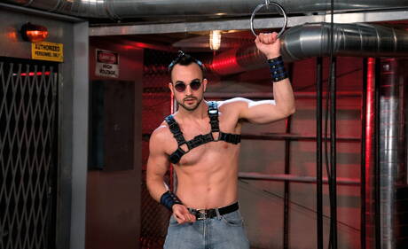 Mike Panic and american hairy stud Mason Lear fuck after blowjob