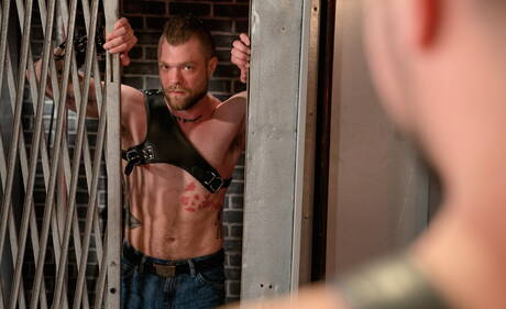 Mike Panic und der haarige amerikanische Hengst Mason Lear haben heißen Paarsex