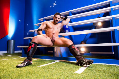 Johnny V und der amerikanische Superhengst Arad Winwin haben sich gegenseitig geknallt