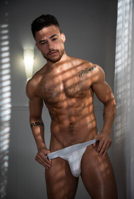 Mili amerykańscy chłopcy, kudłaty ogier Adam Ramzi i przystojny facet Beaux Banks w gorącej homoseksualnej scenie