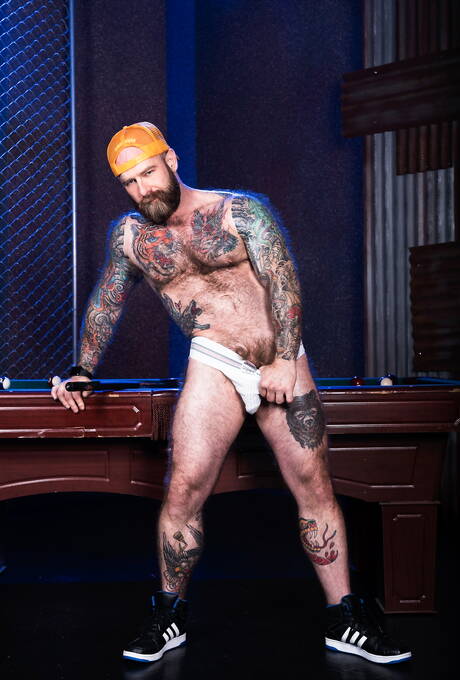 Amerykański kudłaty miś Teddy Bear i Jack Dixon kochają się