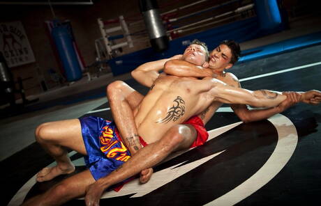 Le musclé américain Trent Diesel et Hugo Milano ont une relation sexuelle torride