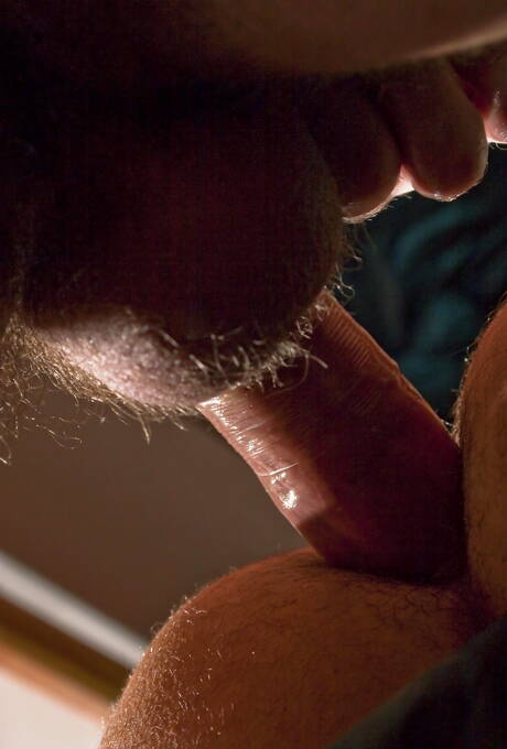 American hairy stud Tommy Defendi and  Rusty Stevens have anal sex