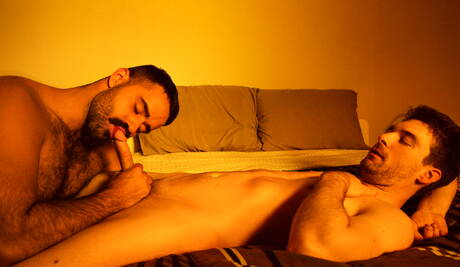 Der französische Bär Teddy Torres und der kanadische Muskelprotz Dustin Holloway lieben sich